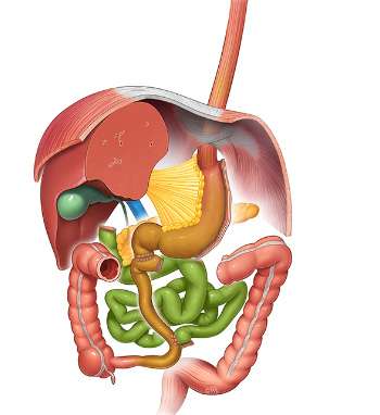 Atlas Of Bariatric and Metabolic Surgery Image