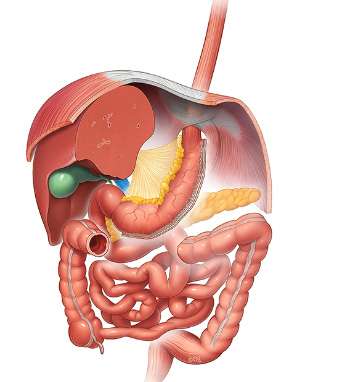 Atlas Of Bariatric and Metabolic Surgery Image