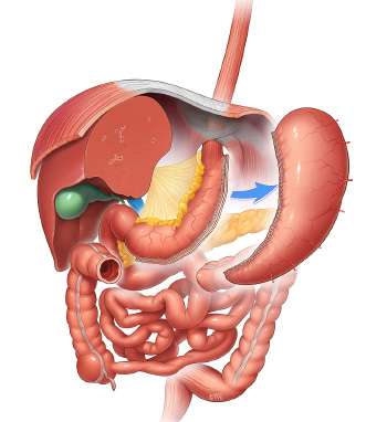 Atlas Of Bariatric and Metabolic Surgery Image